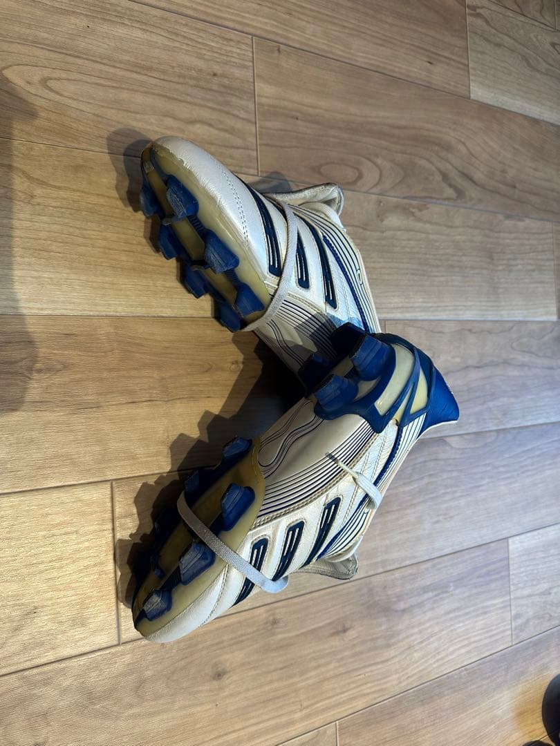 プレデターアブソリュートFG 24.5cm