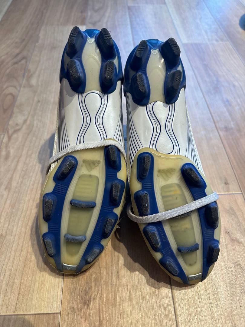 プレデターアブソリュートFG 24.5cm