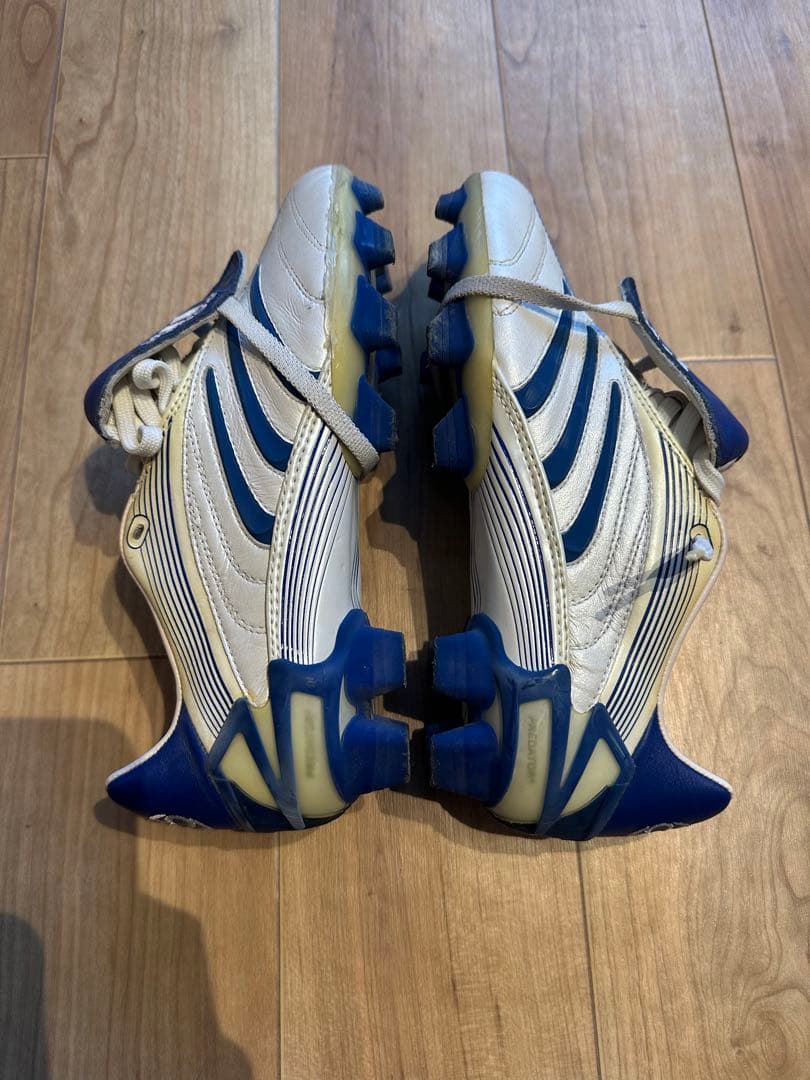 プレデターアブソリュートFG 24.5cm