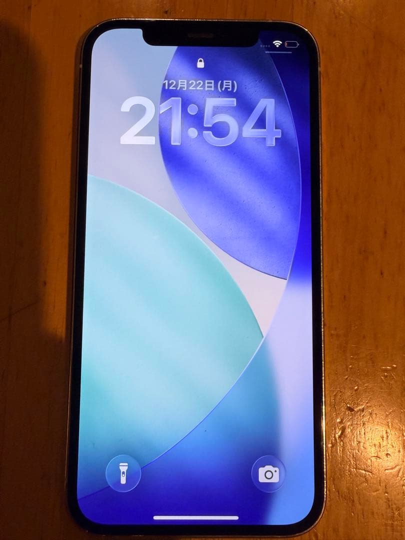 iPhone 12 Pro 256GB ジャンク - メルカリ