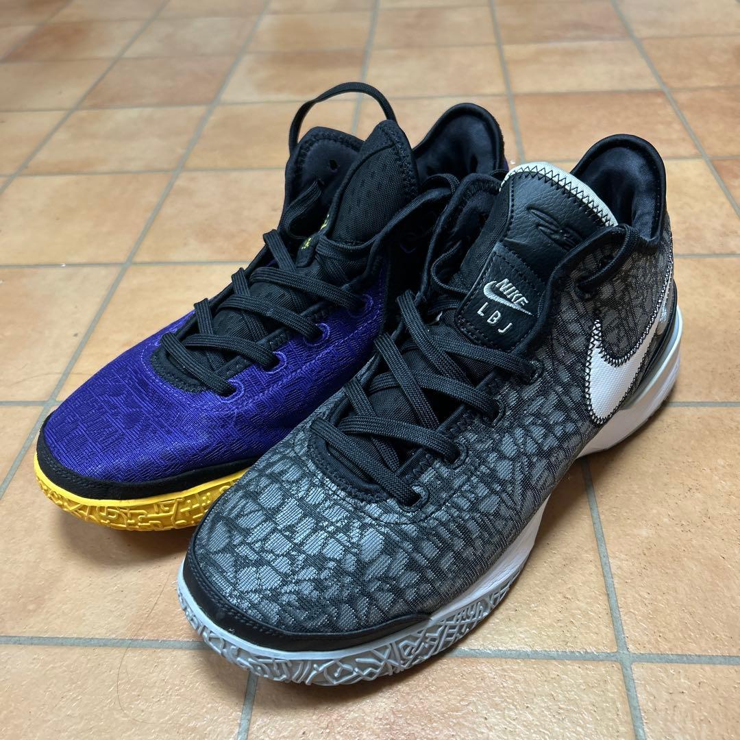 Nike Lebron Nxxt Gen　28.5cm カラー違セット