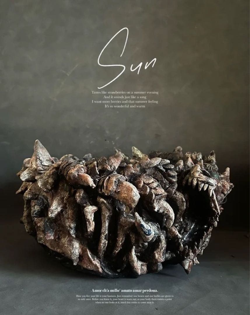 手作植木鉢 「臥龍」作家鉢 訂製 検（ 塊根植物 グラキリス パキプス