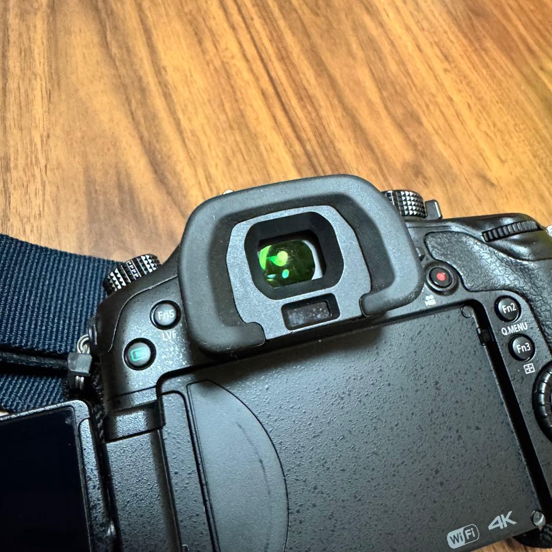 【おまけ付き・美品】Panasonic DMC-GH4