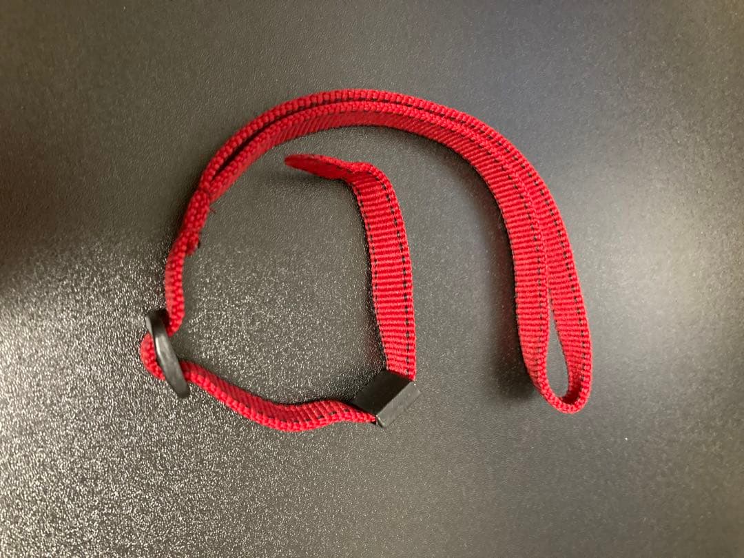 OLYMPUS Tough TG-5 レッド 本体+ケース+ストラップ