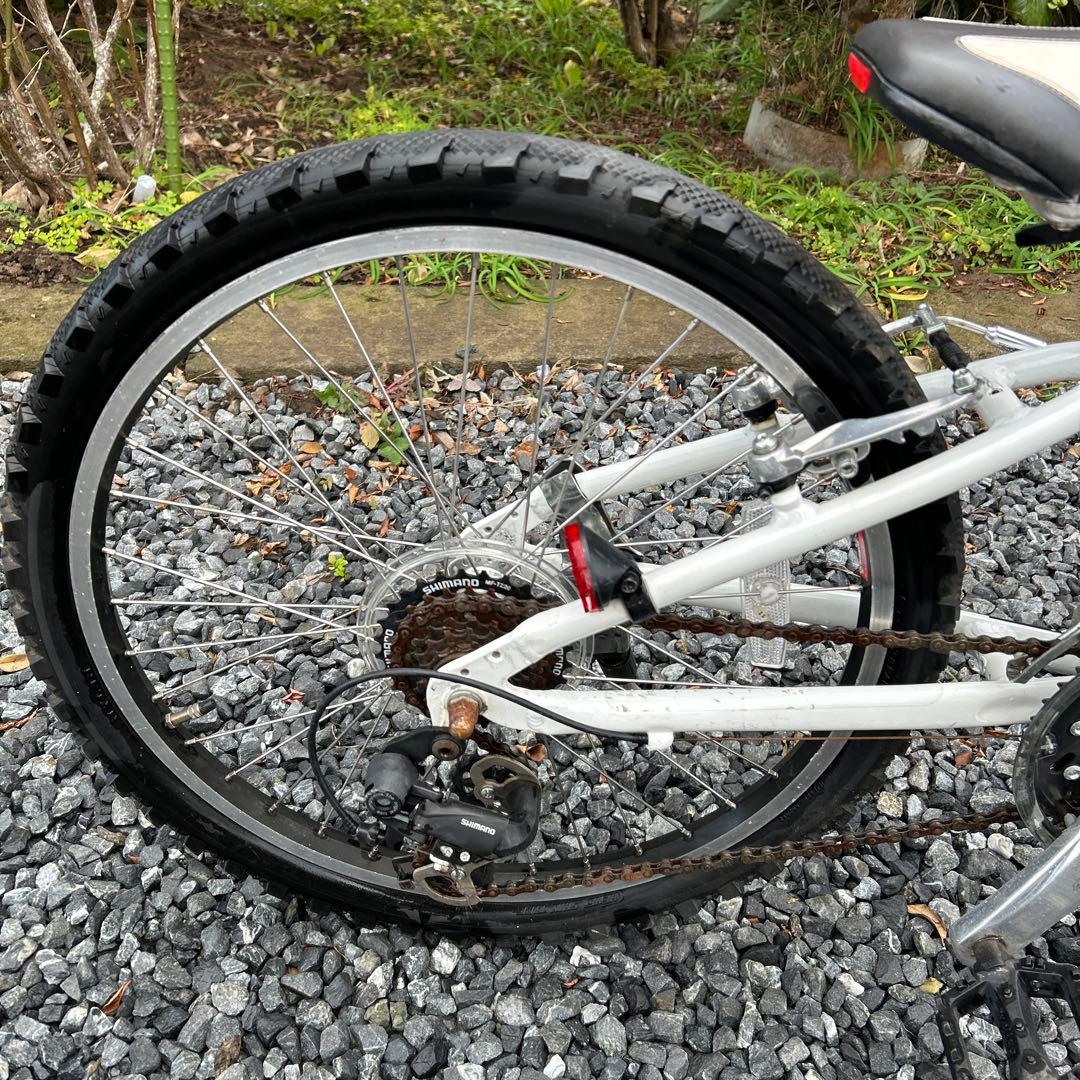 ルイガノ J22 LOUIS GARNEAU ジュニア22インチ