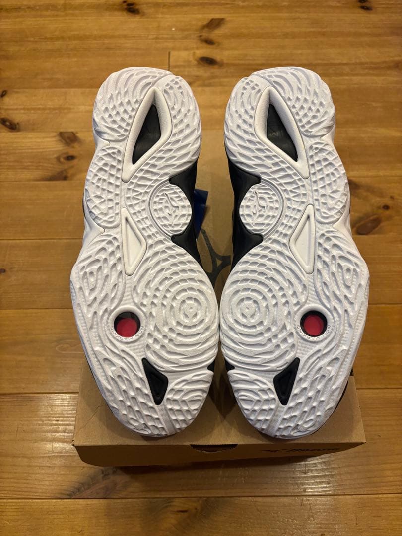 シューズ MIZUNO WAVE MOMENTUM 3 29.5cm
