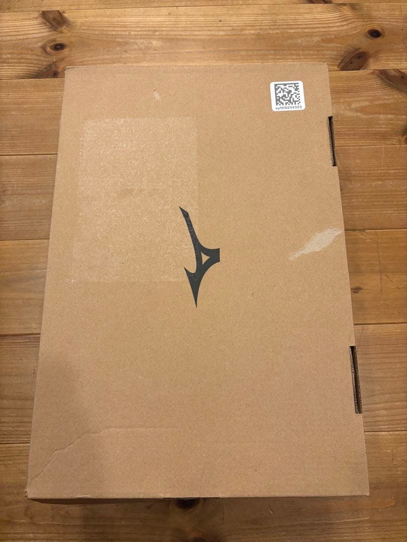 シューズ MIZUNO WAVE MOMENTUM 3 29.5cm