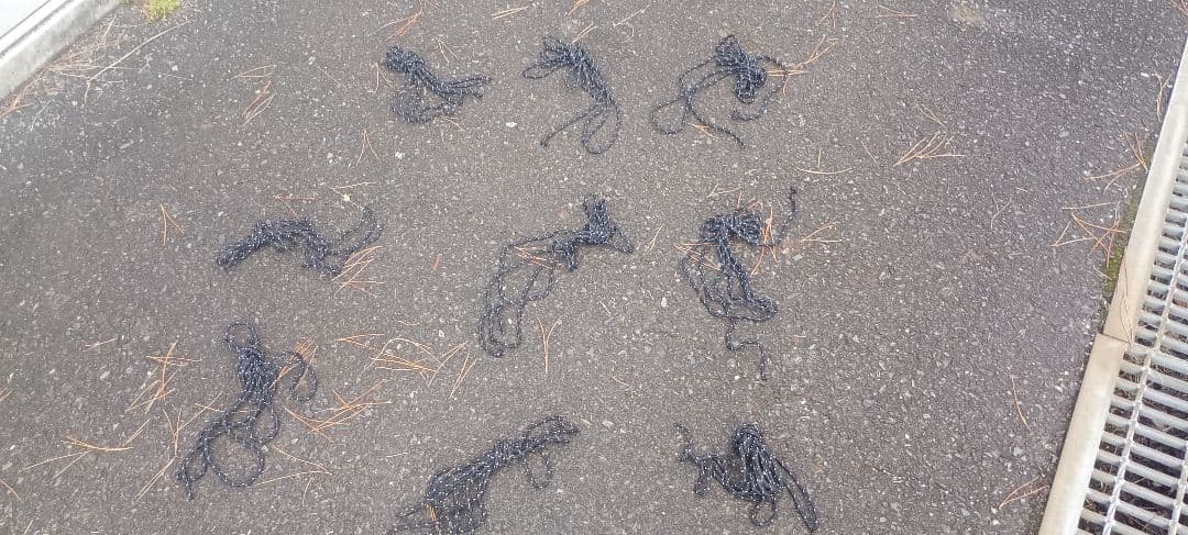 中古　ロックシールド TC