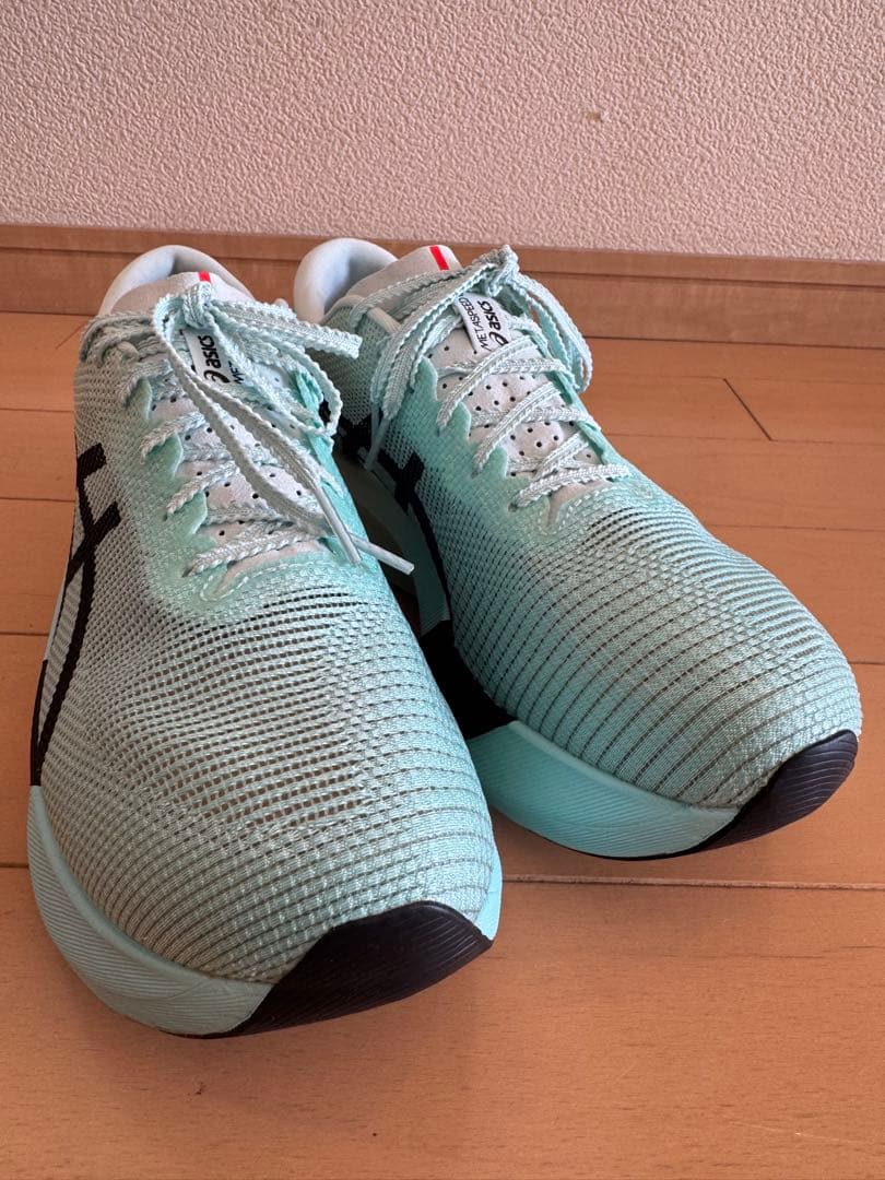 ＜アシックス＞speed Edge Paris ミント/ブラック28cm