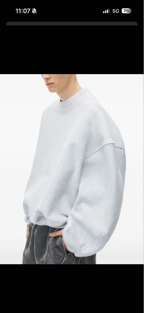 Alexander Wang ロゴスウェットシャツ トレーナー 登坂広臣 ØMI