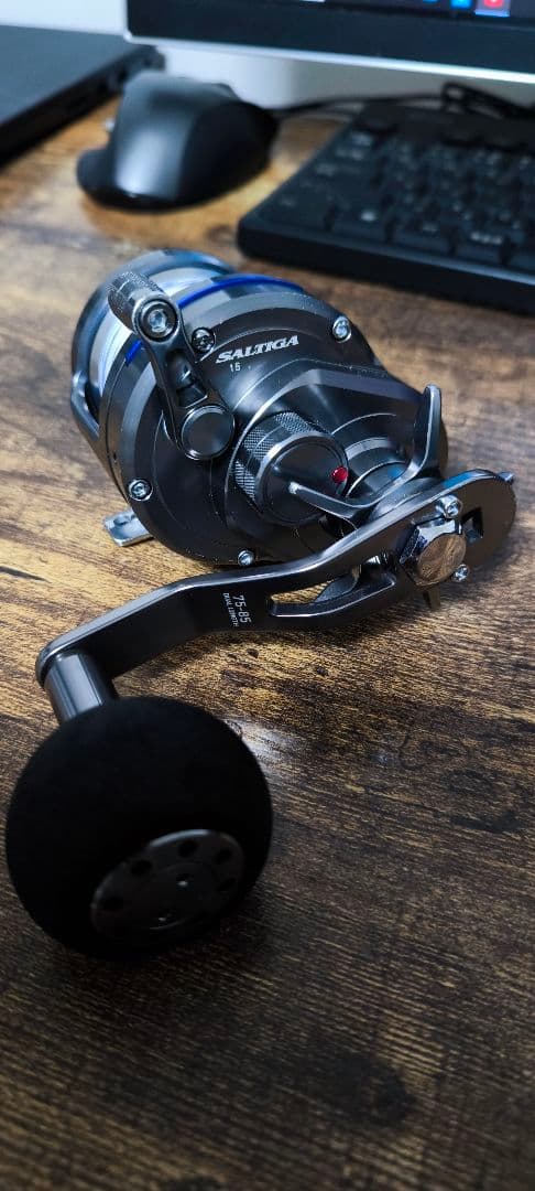 Daiwa saltiga ソルティガ15