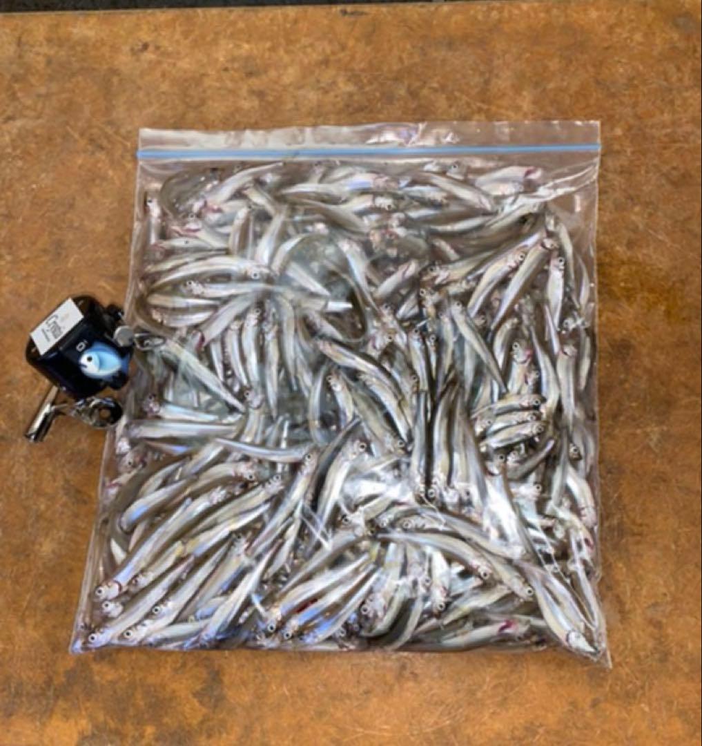 ステンレス穂先　255ミリ　2本