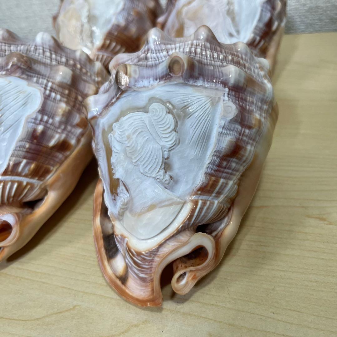 シェル カメオ 貝殻彫刻 アンティーク 置物 4つ