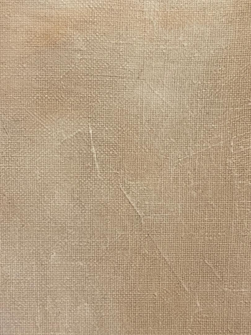 ★「真作」安田英明「アネモネ」静物画　油彩画　額装　サイン有り　F6号