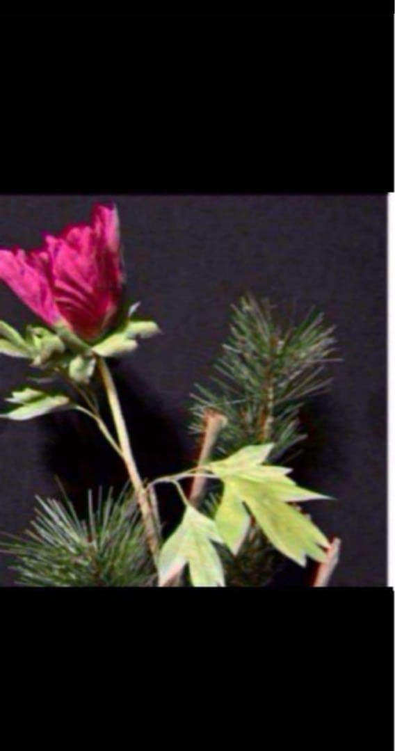 花　アートフラワーブーケ　造花　寒牡丹　松ぼっくり　松　ドングリ　立体　絵画