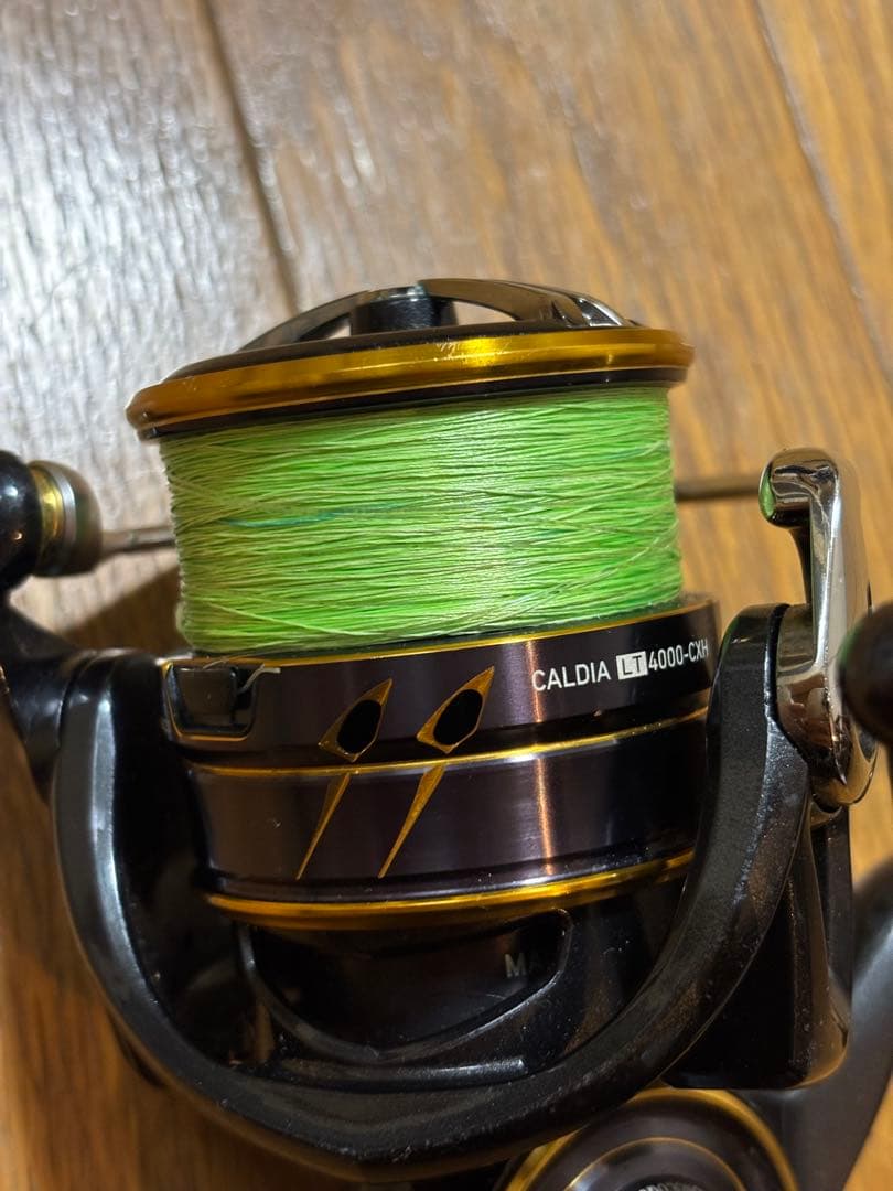 ダイワモアザンブランジーノAGS 94ML ダイワカルディアLT4000-CXH