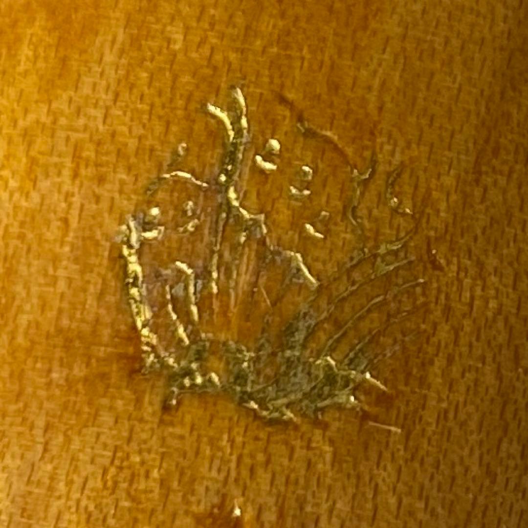 銀三線　尺八等　5本　共箱　トヒサル　東な7-0319①