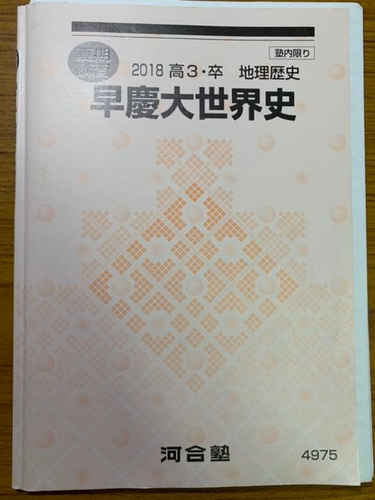 河合塾 夏期講習 早慶大世界史 - メルカリ