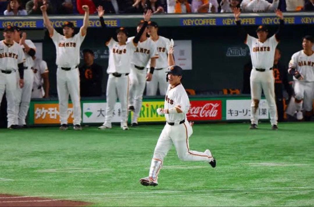 読売ジャイアンツ　巨人　大城卓三 #24　バット NPBマーク 支給品　実使用