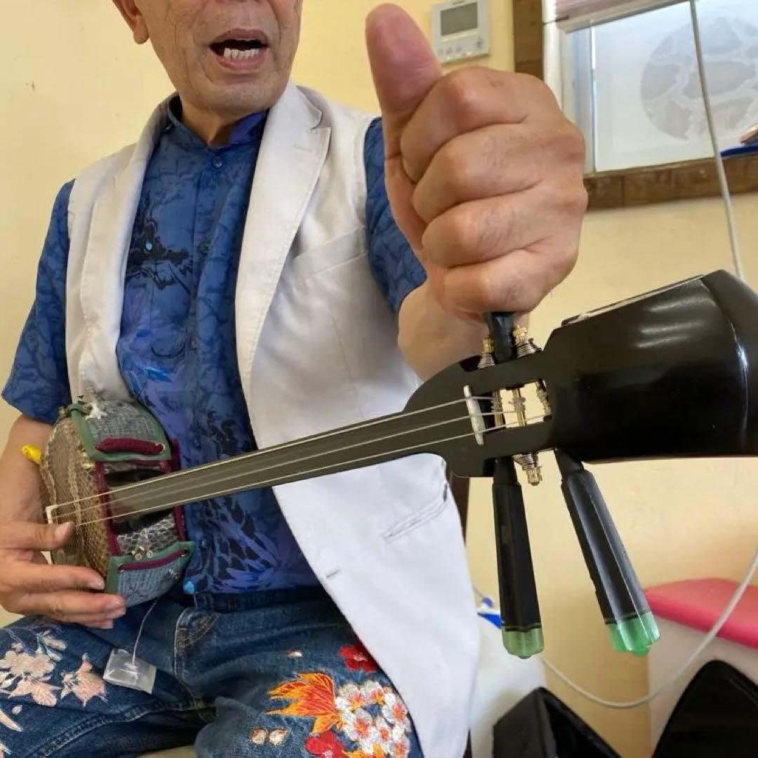 沖縄三線用「戻らんカラクイ」（戻らない調弦器具）DIYセット - メルカリ