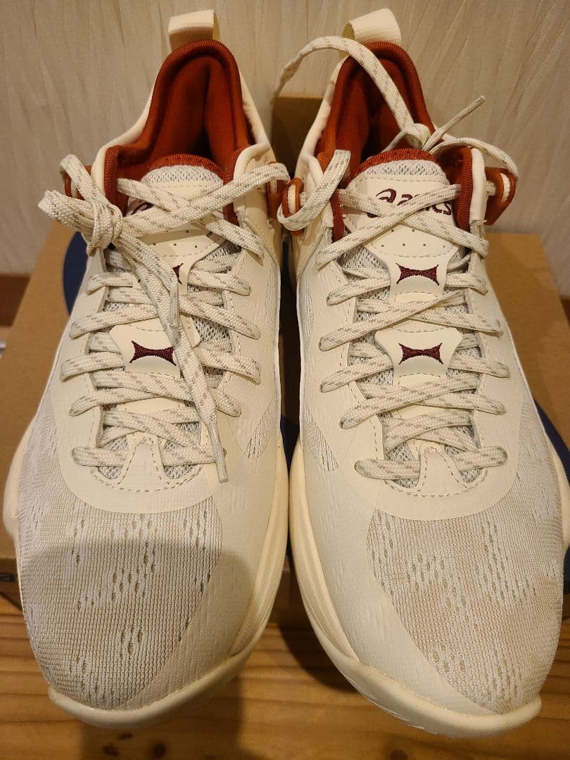 asics NOVA SURGE LOW2(25.5cm) 新品未使用