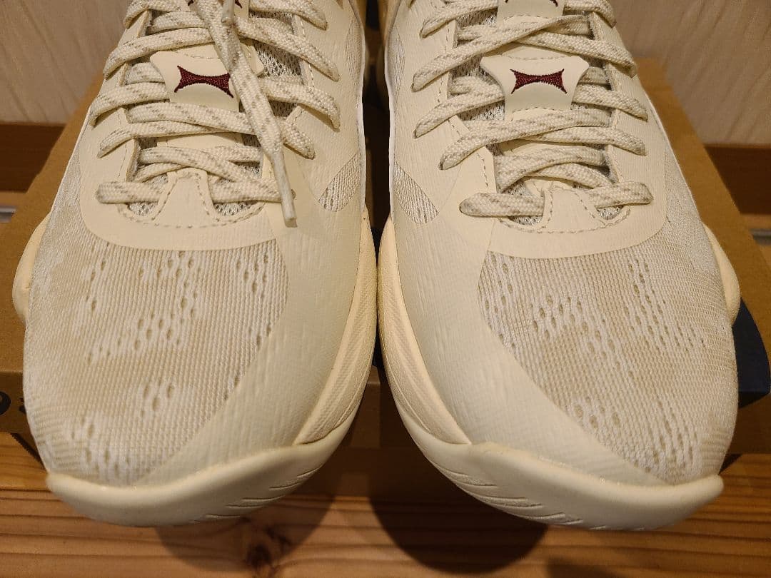 asics NOVA SURGE LOW2(25.5cm) 新品未使用