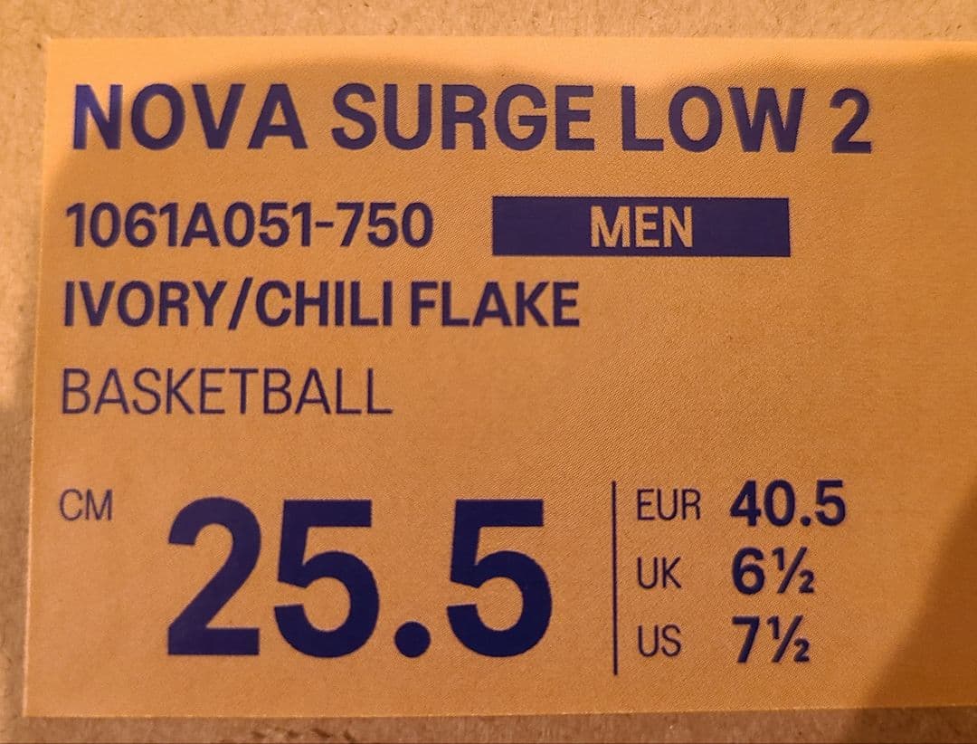 asics NOVA SURGE LOW2(25.5cm) 新品未使用