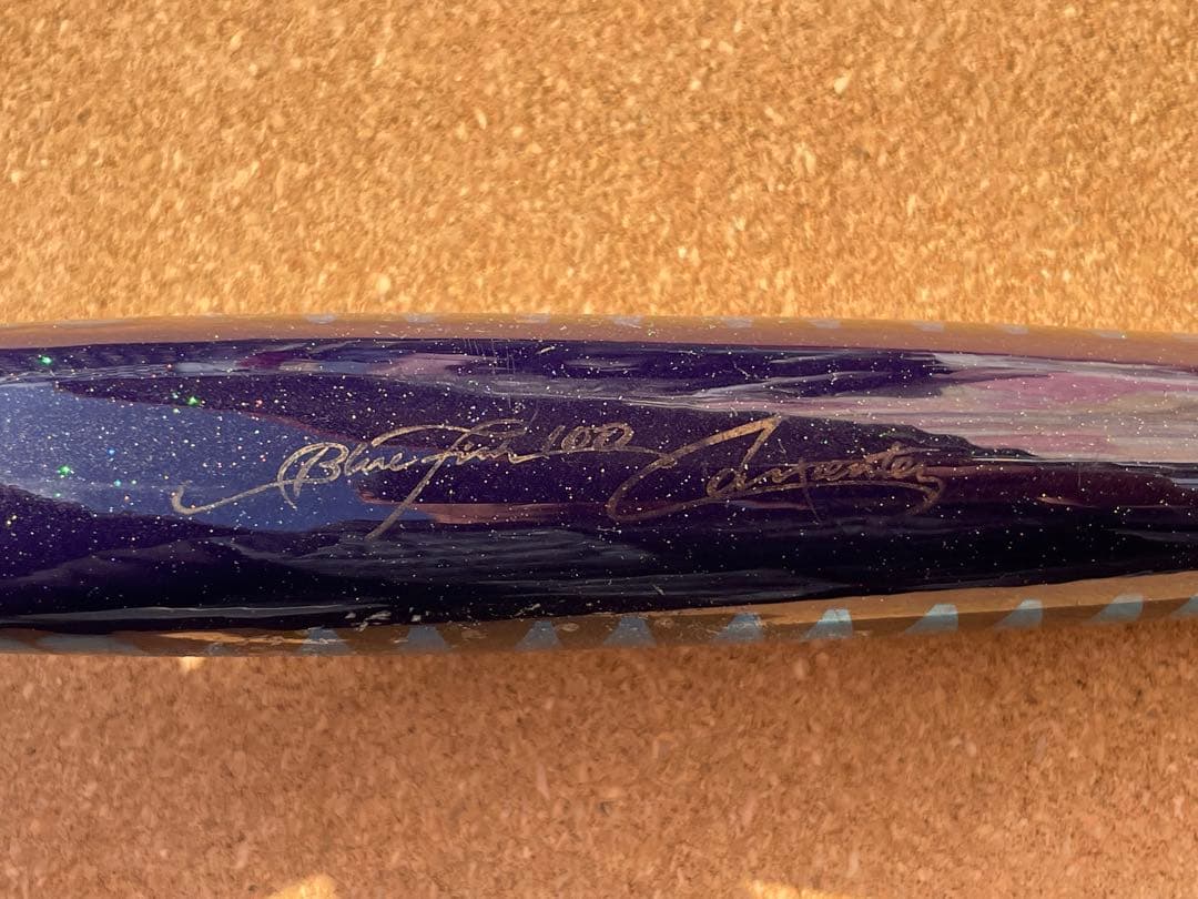 ブルーフィッシュ100 fish カーペンター　BF100