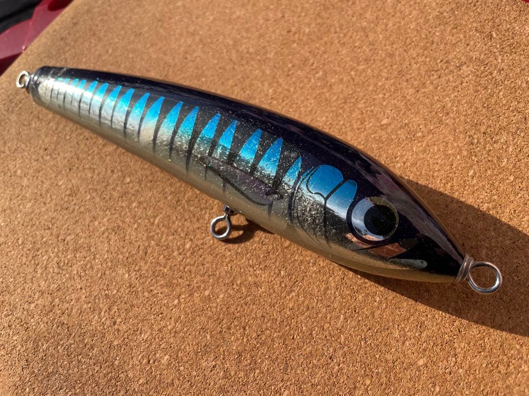 ブルーフィッシュ100 fish カーペンター　BF100