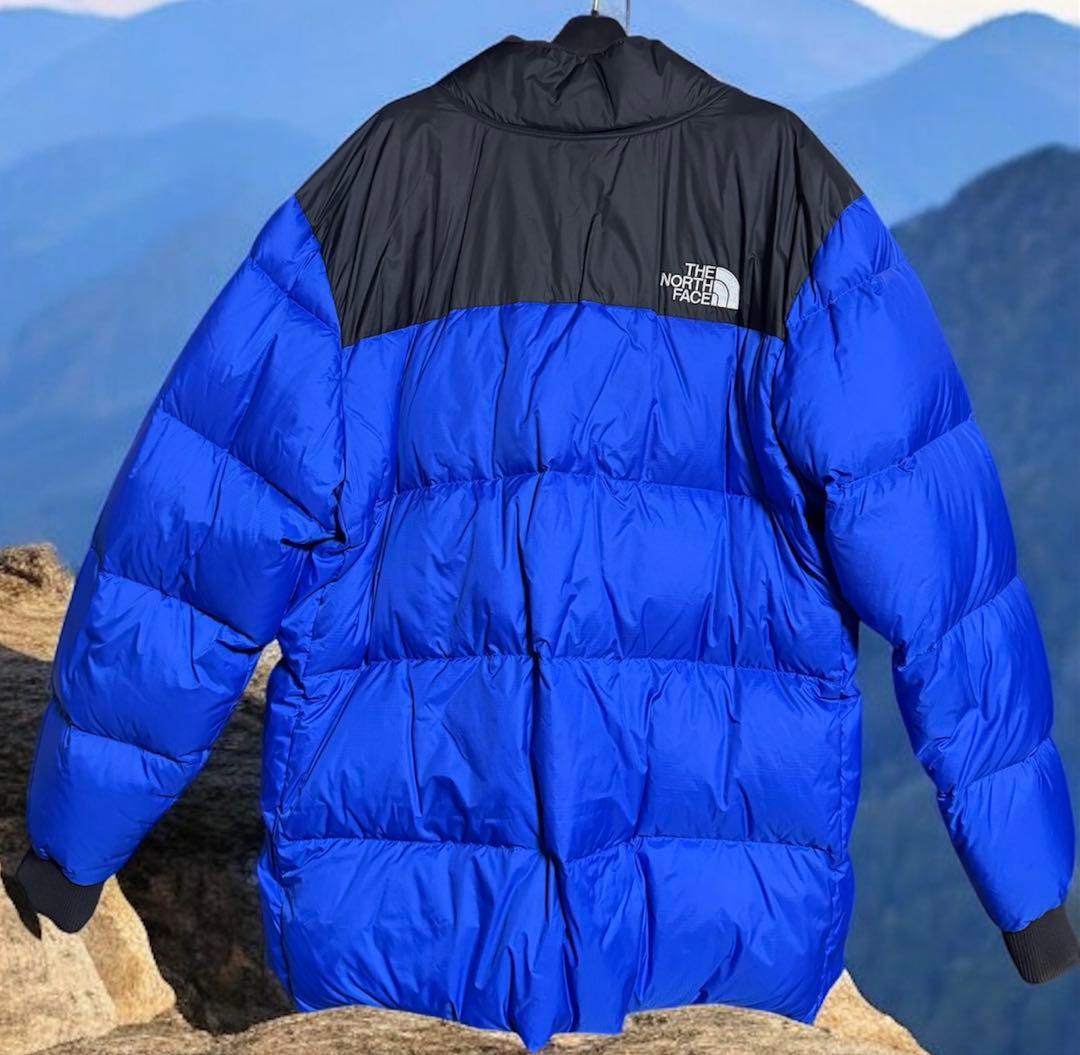 THE NORTHFACE◆NRDC JACKET ダウンジャケット US
