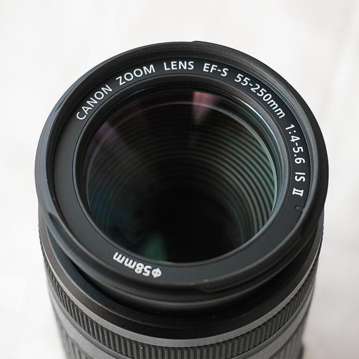 Canon 望遠レンズ EF-S55-250mm F4-5.6 IS STM