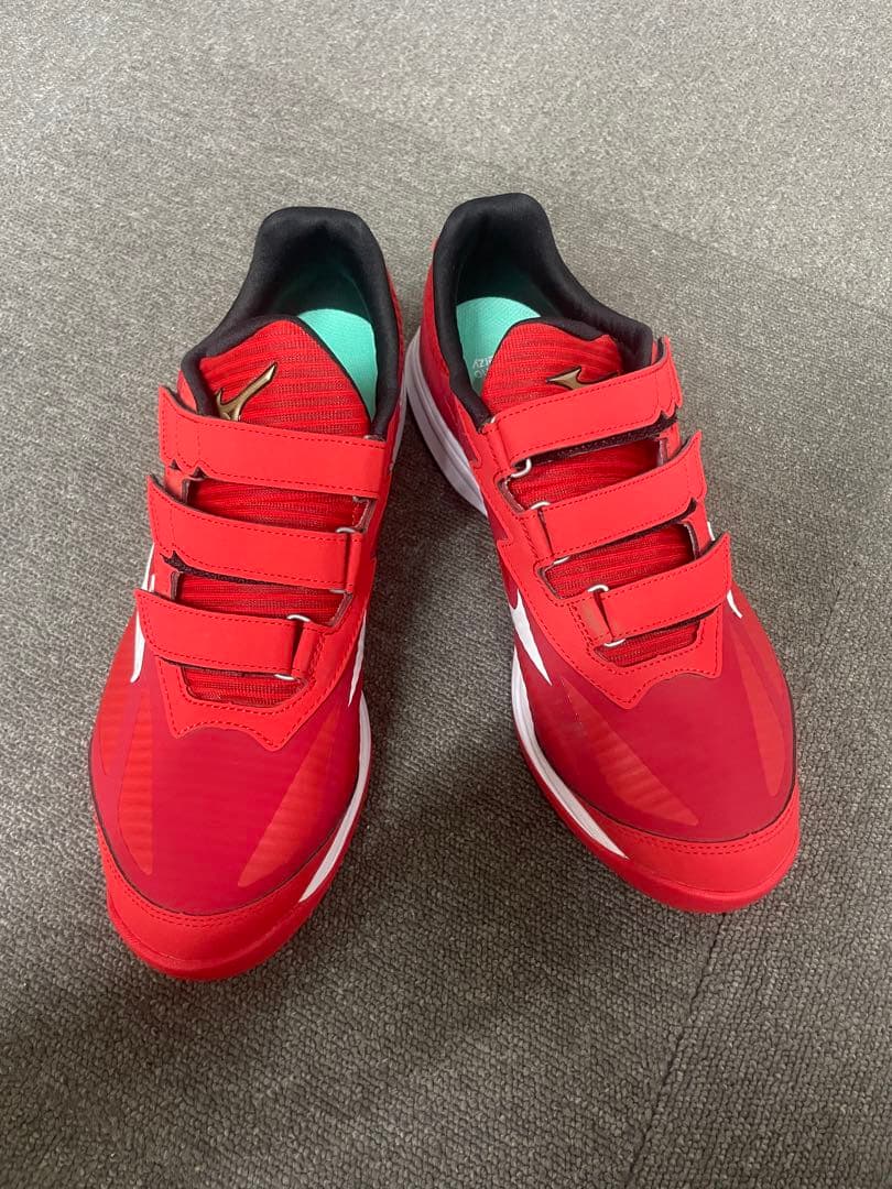 本日のみ値下げ！ミズノ トレーニングシューズ 27.5cm アップシューズ