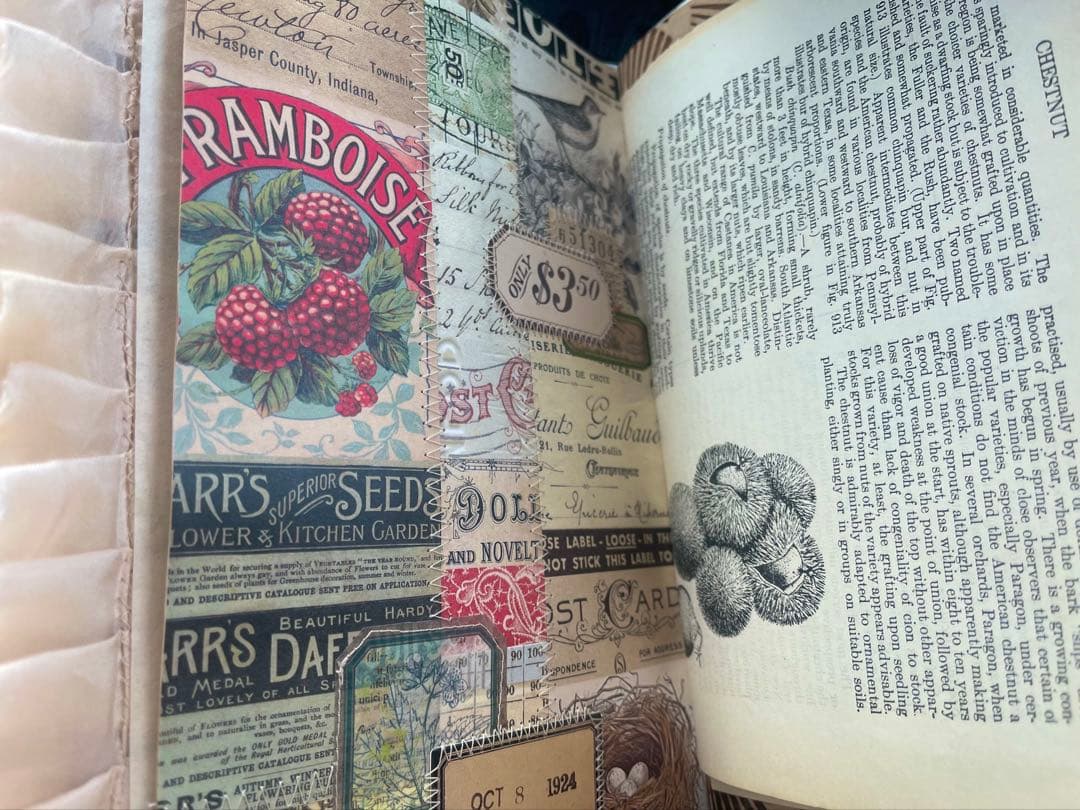 RIKOページです。