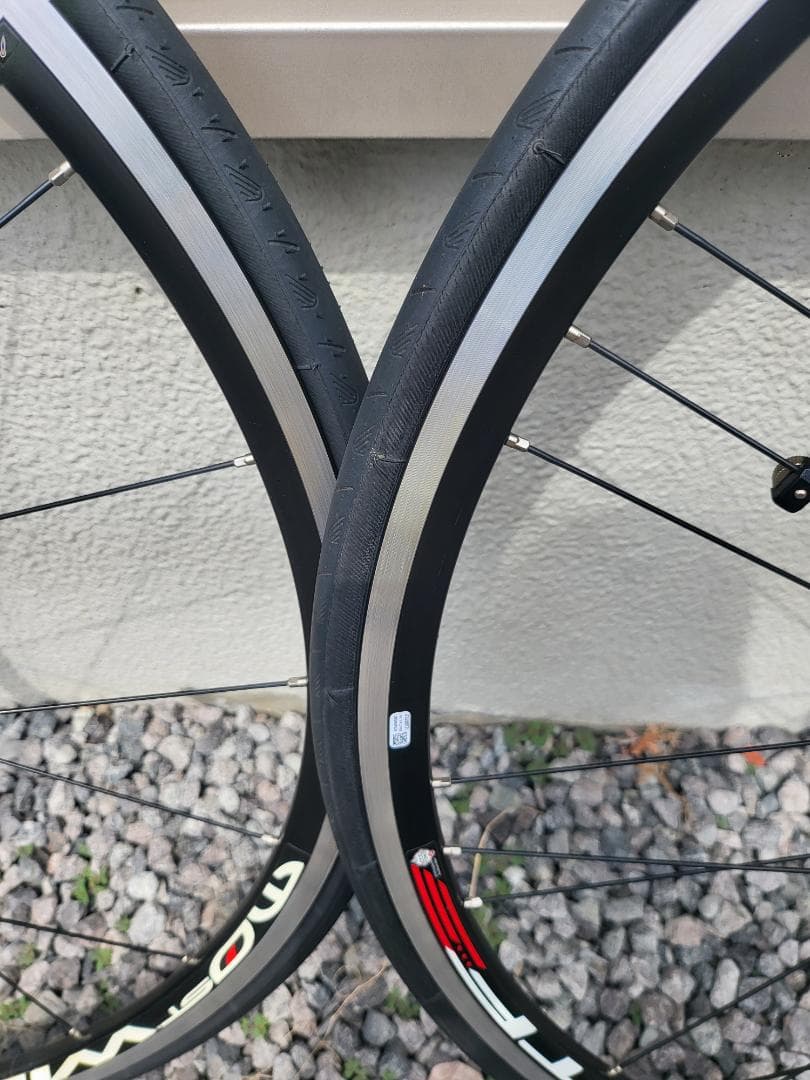 ピナレロ MOSTホイールセット Campagnolo