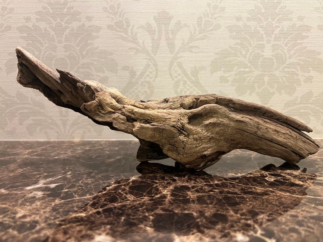 POCOS 　天然流木【17】 【53】【131】