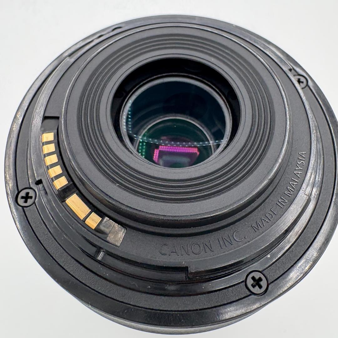 Canon EF-S55-250mm F4-5.6 IS STM +レンズフード