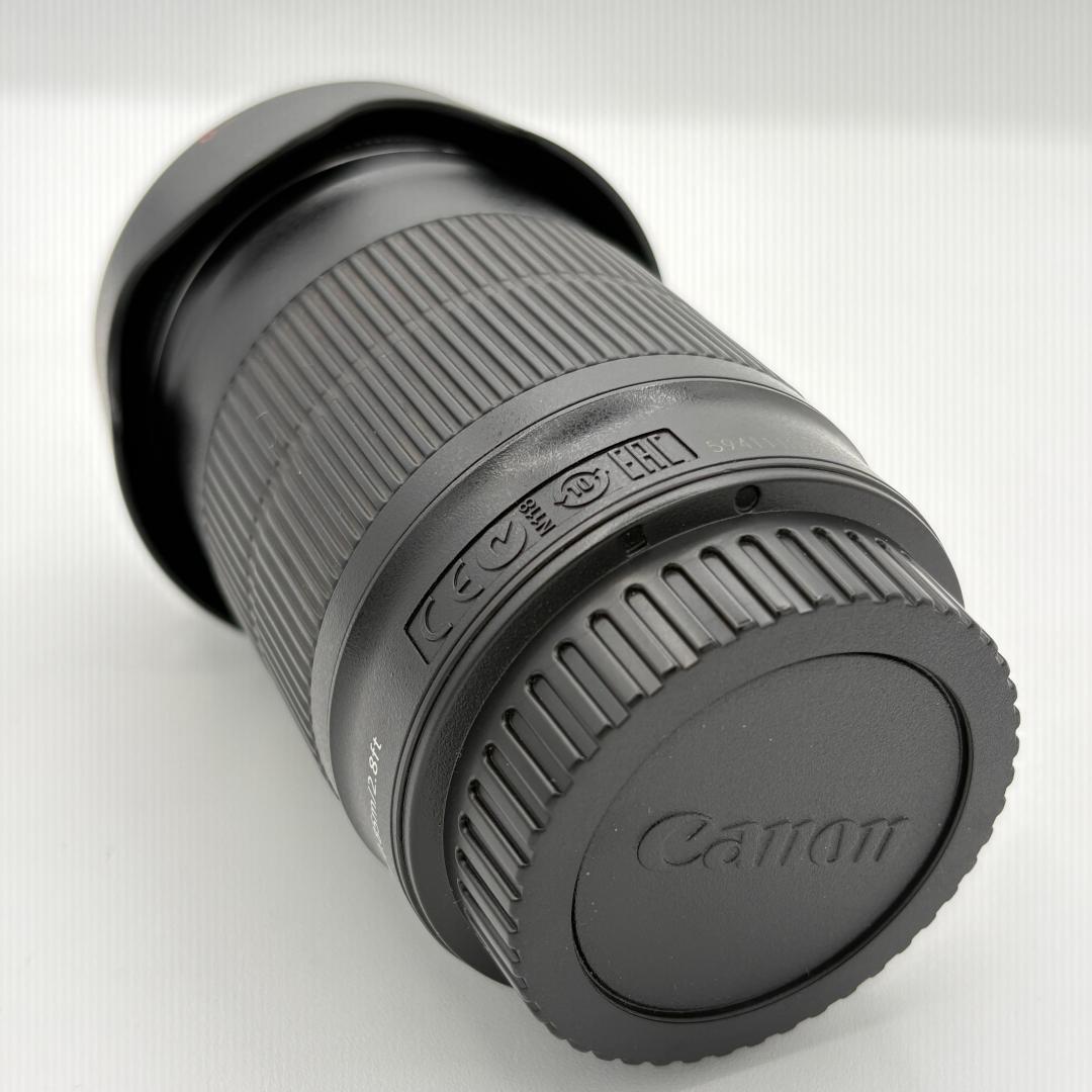 Canon EF-S55-250mm F4-5.6 IS STM +レンズフード