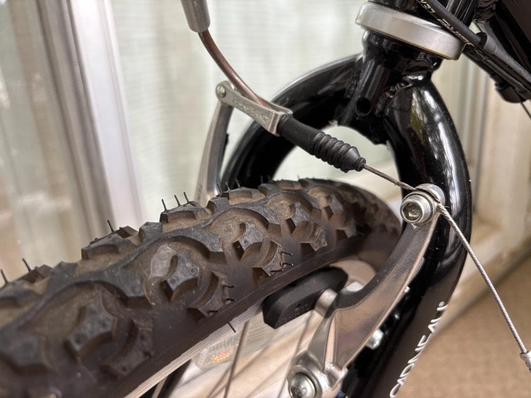 ルイガノ　マウンテンバイク　LGS-J22  22インチ　(手渡し希望)