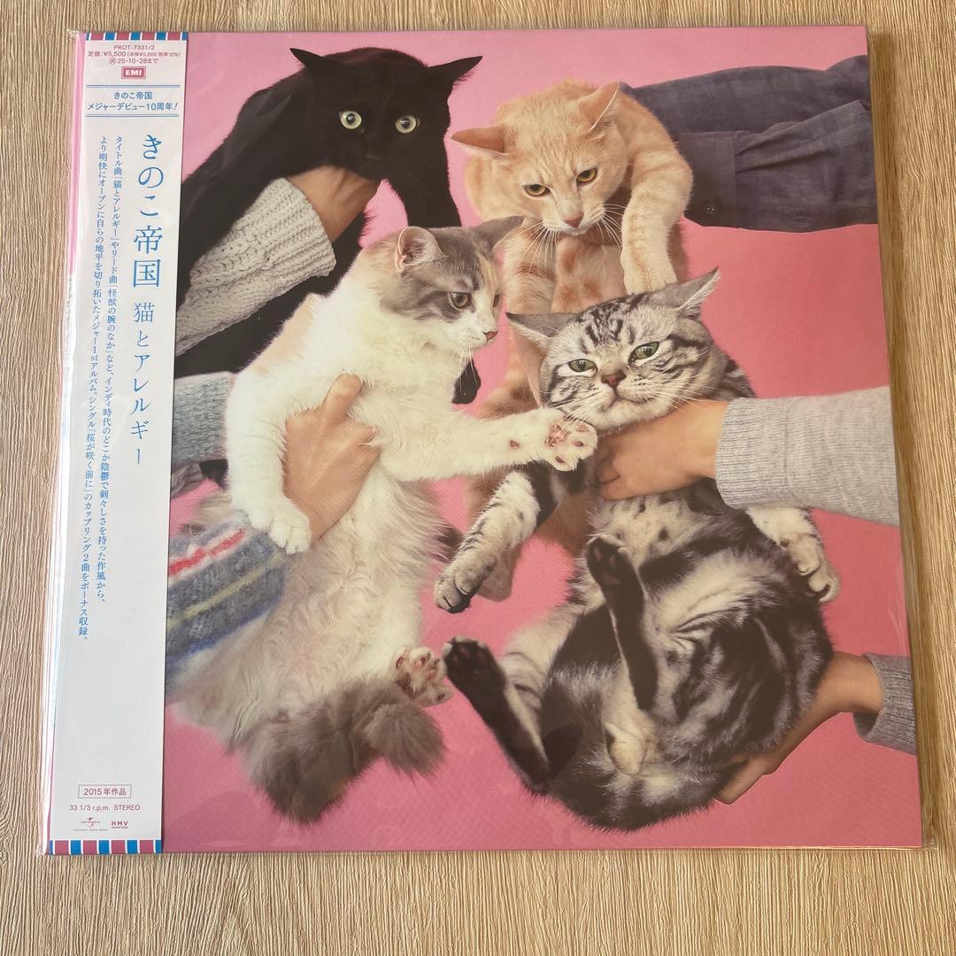 きのこ帝国 / アナログレコード 3枚セット - メルカリ