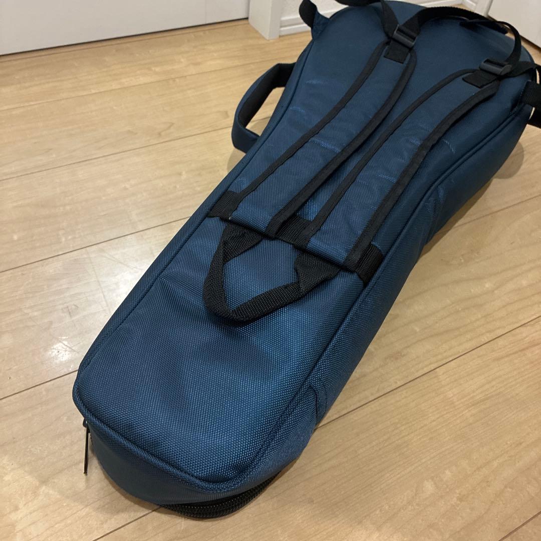 プレイテック　Playtech F型マンドリン　PFM10F ギグバック付き！