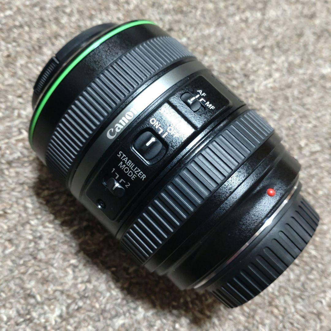 Canon EF 70-300mm F4.5-5.6 DO IS　ジャンク