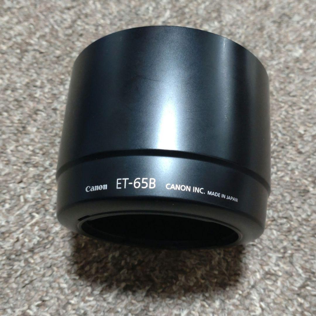 Canon EF 70-300mm F4.5-5.6 DO IS　ジャンク