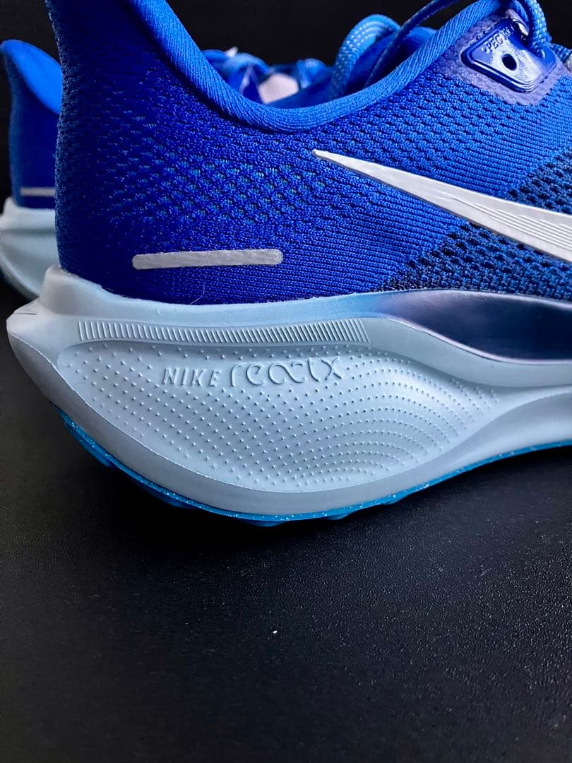 （廃番カラー、完全未使用品）NIKE エアズーム ペガサス 41