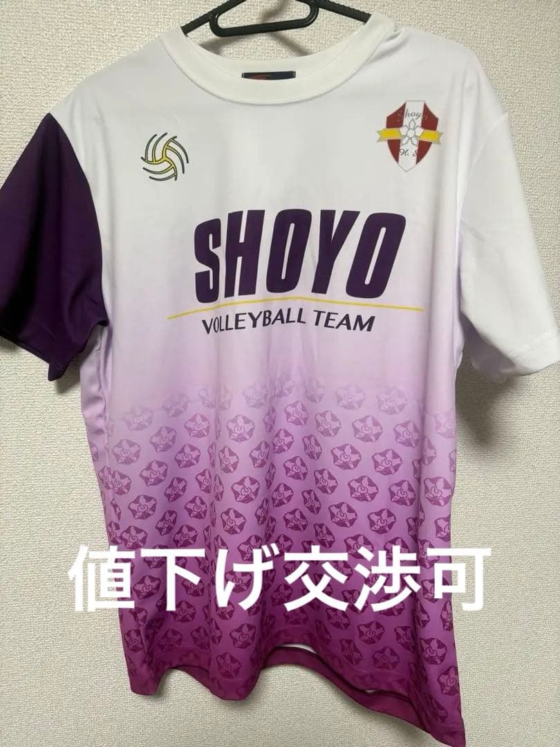 昇陽高校バレーボールTシャツ - メルカリ