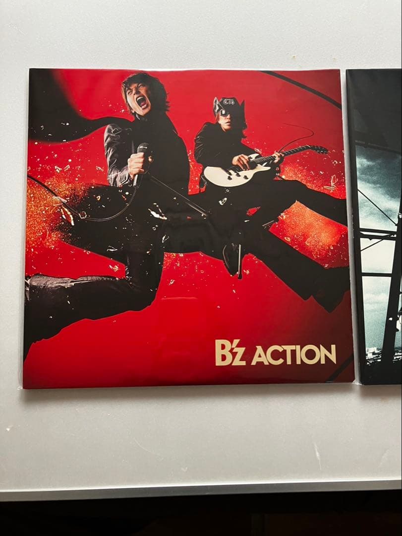 邦楽 B'z ACTION & Brotherhood