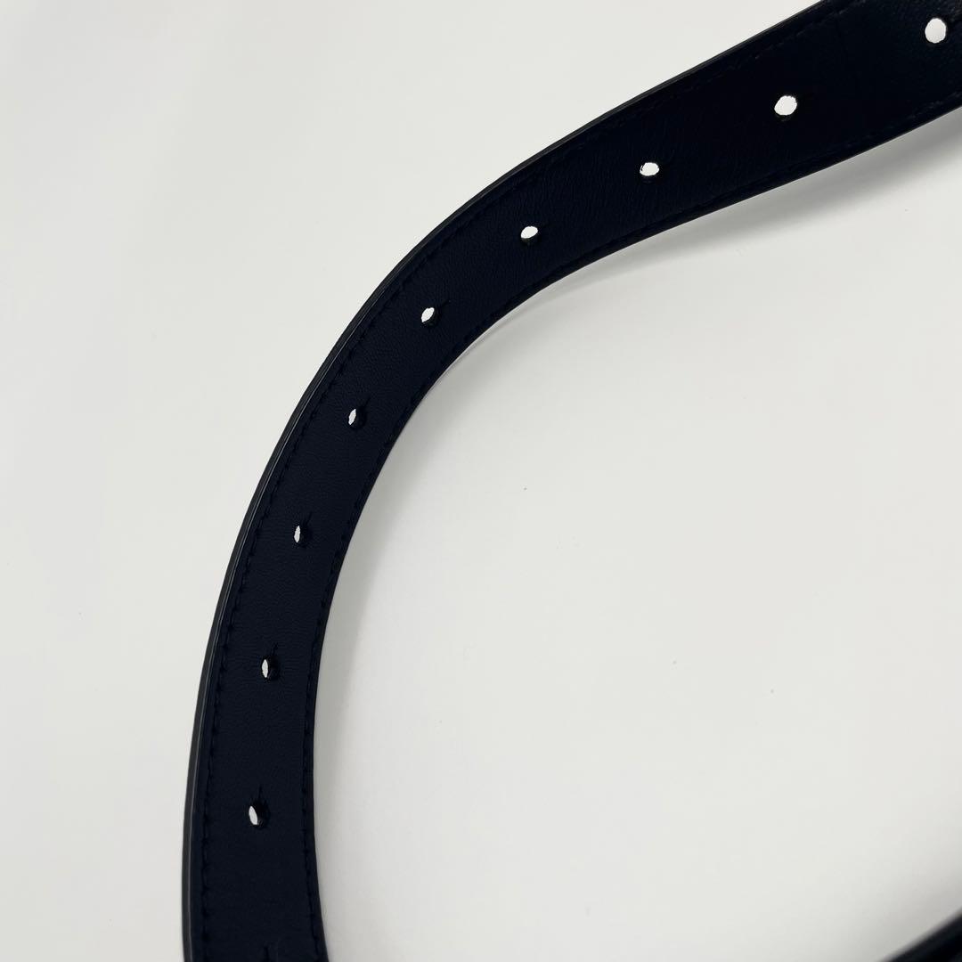 【✨極美品 現行】 ボッテガヴェネタ ボディバッグ カセット マキシ ICタグ付