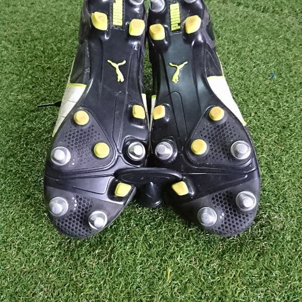 パラメヒコライト取り換え式です！