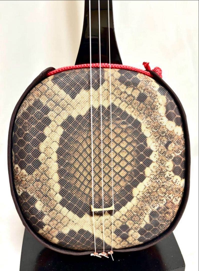 ケース付き三線セット