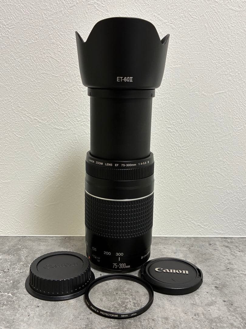 ⭐️新品フード付⭐️ Canon EF 75-300mm F4-5.6 III 望遠