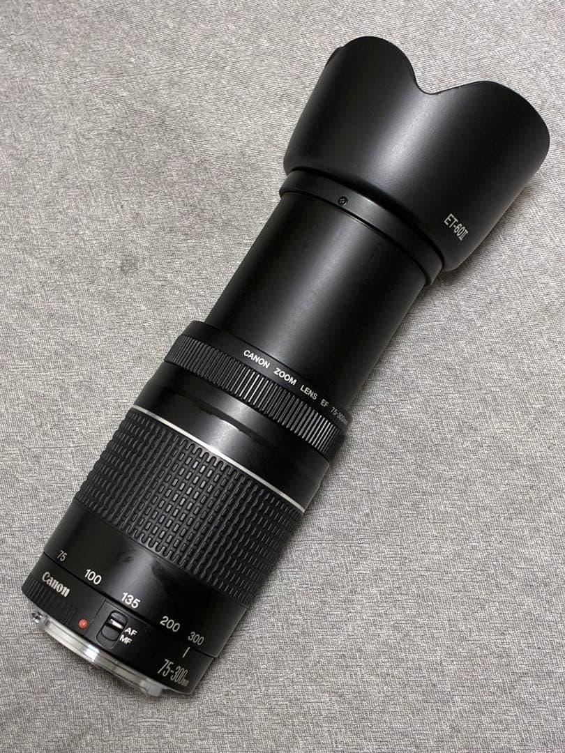 ⭐️新品フード付⭐️ Canon EF 75-300mm F4-5.6 III 望遠